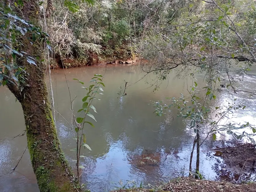 Foto 5 de Chácara com 6 quartos à venda, 12100m2 em Cascavel Velho, Cascavel - PR