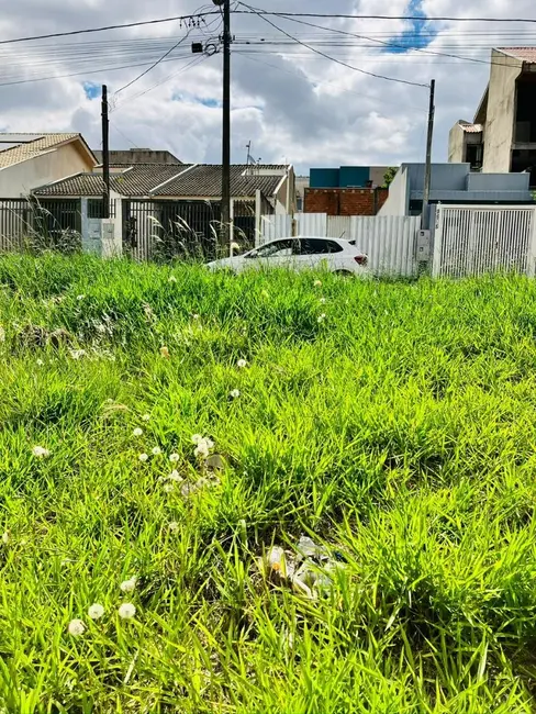 Foto 1 de Terreno / Lote à venda, 250m2 em Floresta, Cascavel - PR