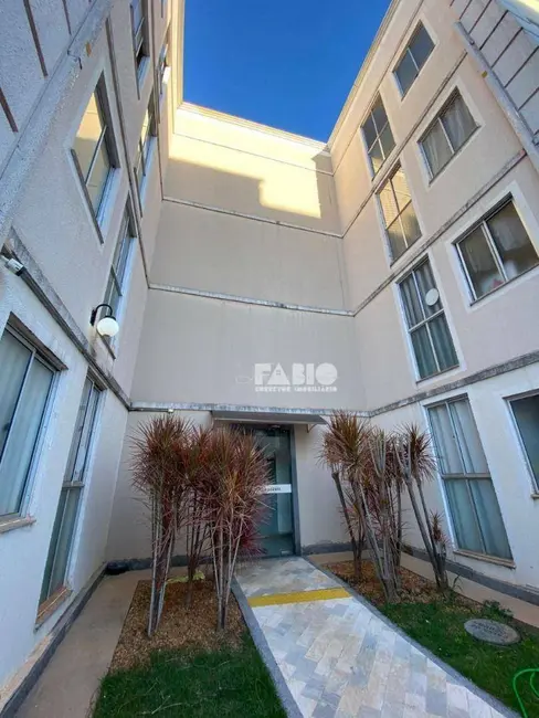 Apartamento com 2 quartos à venda, 40m2 em Parque Residencial Iguatemi, Araraquara - SP - imagem 3 Foto 3 de Apartamento com 2 quartos à venda, 40m2 em Parque Residencial Iguatemi, Araraquara - SP