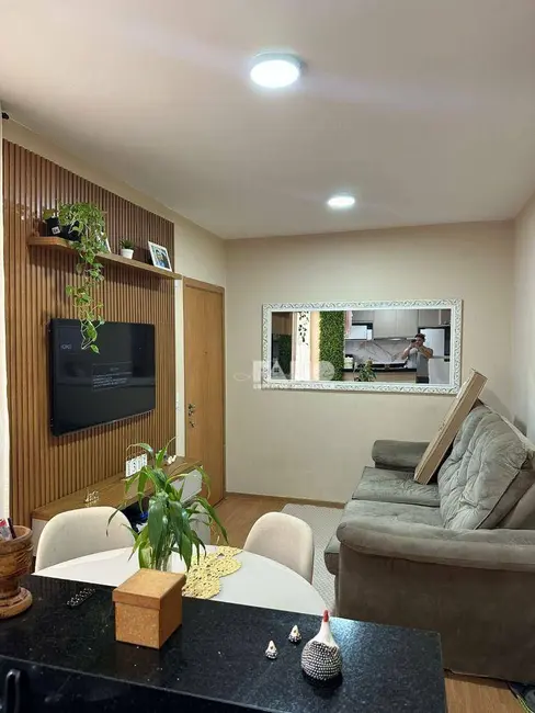 Foto 1 de Apartamento com 2 quartos à venda, 39m2 em Jardim Marajó, Sao Jose Do Rio Preto - SP