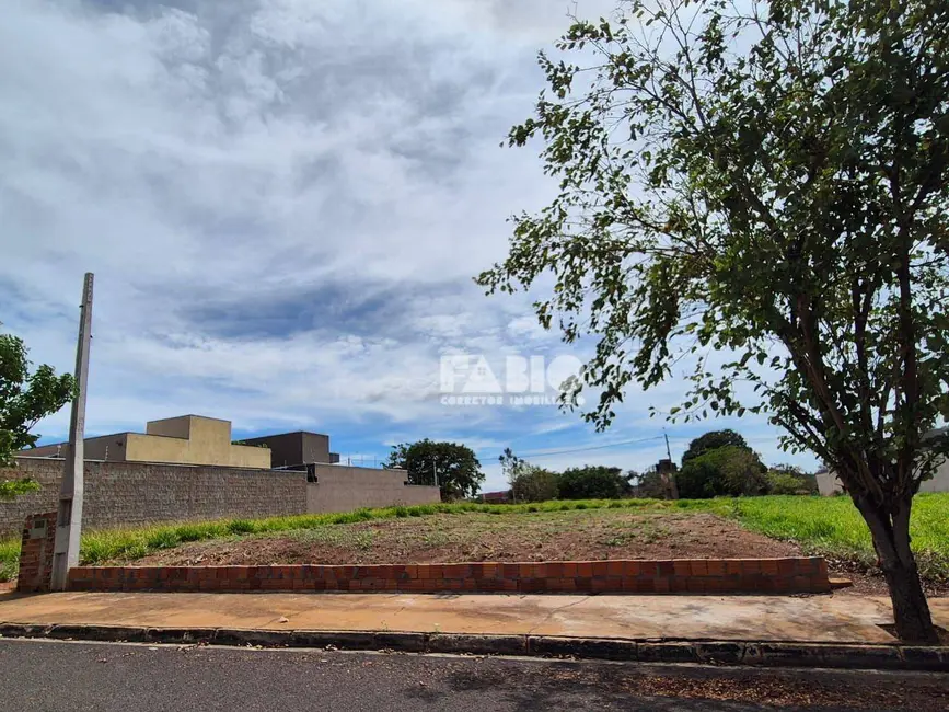 Foto 1 de Terreno / Lote à venda, 300m2 em Mirassol - SP