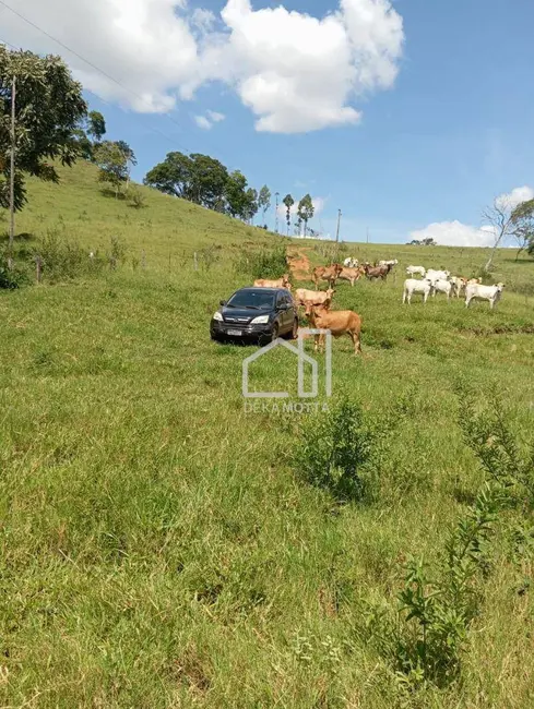 Foto 2 de Sítio / Rancho à venda, 135000m2 em Área Rural de Patos de Minas, Patos De Minas - MG