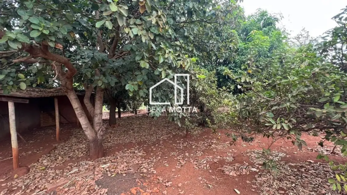 Chácara com 1 quarto à venda, 5000m2 em Santa Mônica, Uberlandia - MG - imagem 3 Foto 3 de Chácara com 1 quarto à venda, 5000m2 em Santa Mônica, Uberlandia - MG