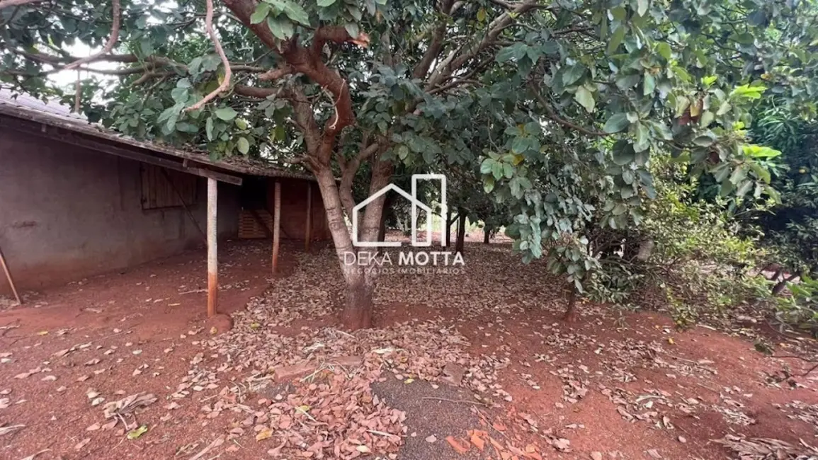 Chácara com 1 quarto à venda, 5000m2 em Santa Mônica, Uberlandia - MG - imagem 8 Foto 8 de Chácara com 1 quarto à venda, 5000m2 em Santa Mônica, Uberlandia - MG