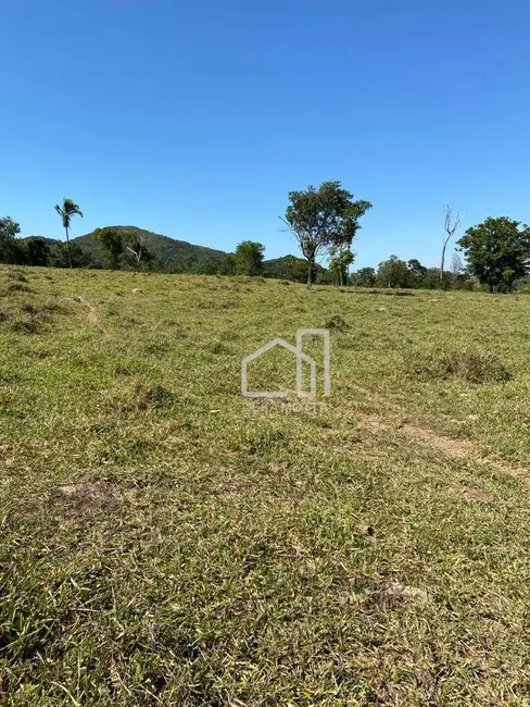 Foto 5 de Fazenda / Haras com 3 quartos à venda, 16777215m2 em Paracatu - MG