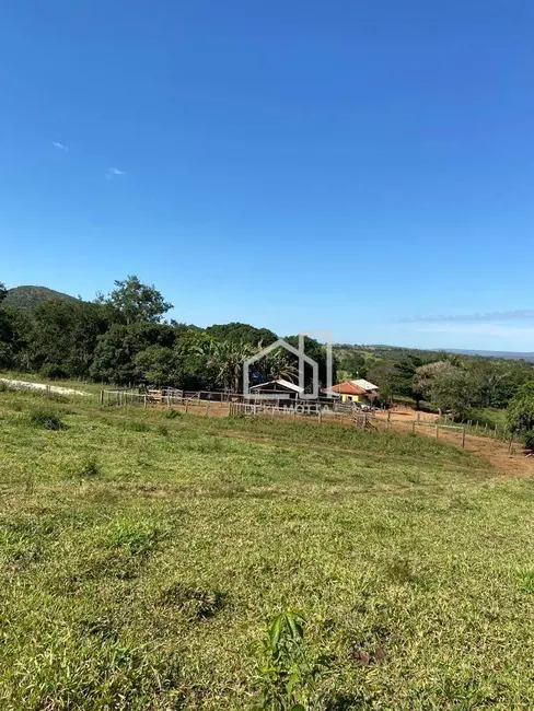 Foto 8 de Fazenda / Haras com 3 quartos à venda, 16777215m2 em Paracatu - MG