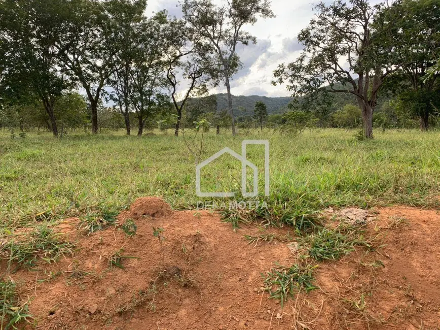 Foto 7 de Fazenda / Haras com 3 quartos à venda, 16777215m2 em Paracatu - MG