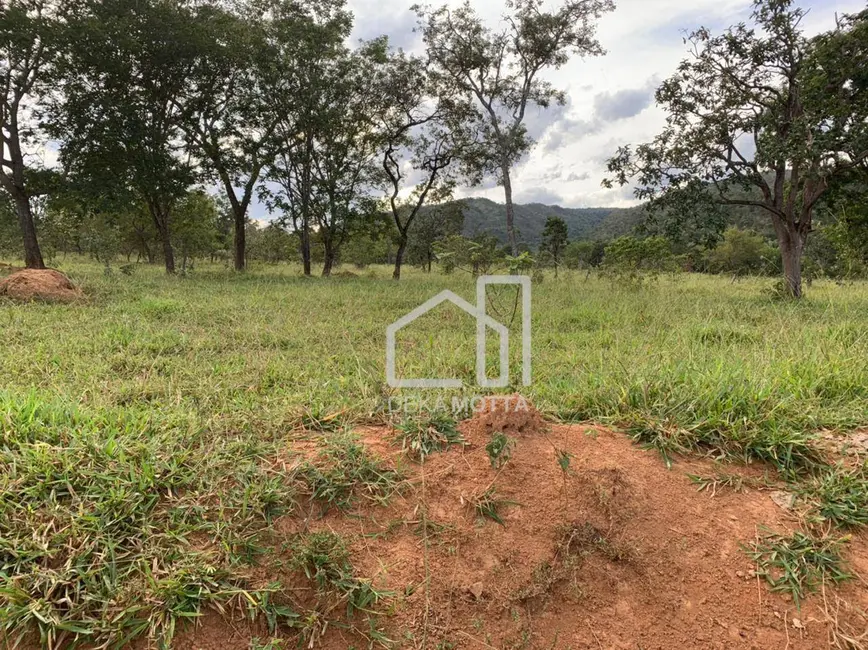 Foto 3 de Fazenda / Haras com 3 quartos à venda, 16777215m2 em Paracatu - MG