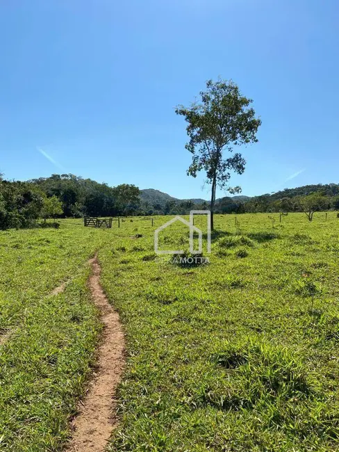 Foto 2 de Fazenda / Haras com 3 quartos à venda, 16777215m2 em Paracatu - MG