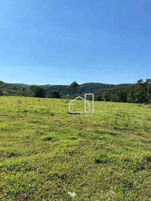 Foto 6 de Fazenda / Haras com 3 quartos à venda, 16777215m2 em Paracatu - MG