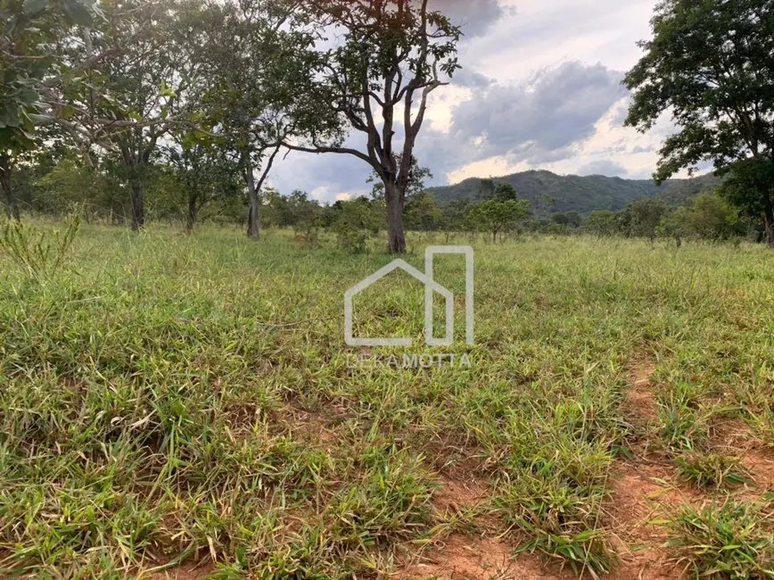 Foto 4 de Fazenda / Haras com 3 quartos à venda, 16777215m2 em Paracatu - MG