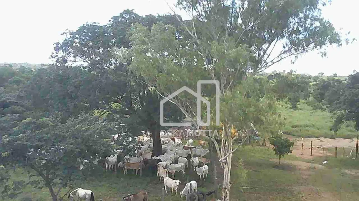 Fazenda / Haras com 4 quartos à venda, 3850000m2 em Planalto, Patos De Minas - MG - imagem 9 Foto 9 de Fazenda / Haras com 4 quartos à venda, 3850000m2 em Planalto, Patos De Minas - MG