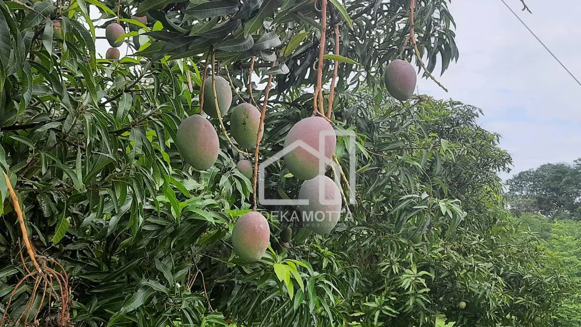 Fazenda / Haras com 4 quartos à venda, 3850000m2 em Planalto, Patos De Minas - MG - imagem 5 Foto 5 de Fazenda / Haras com 4 quartos à venda, 3850000m2 em Planalto, Patos De Minas - MG