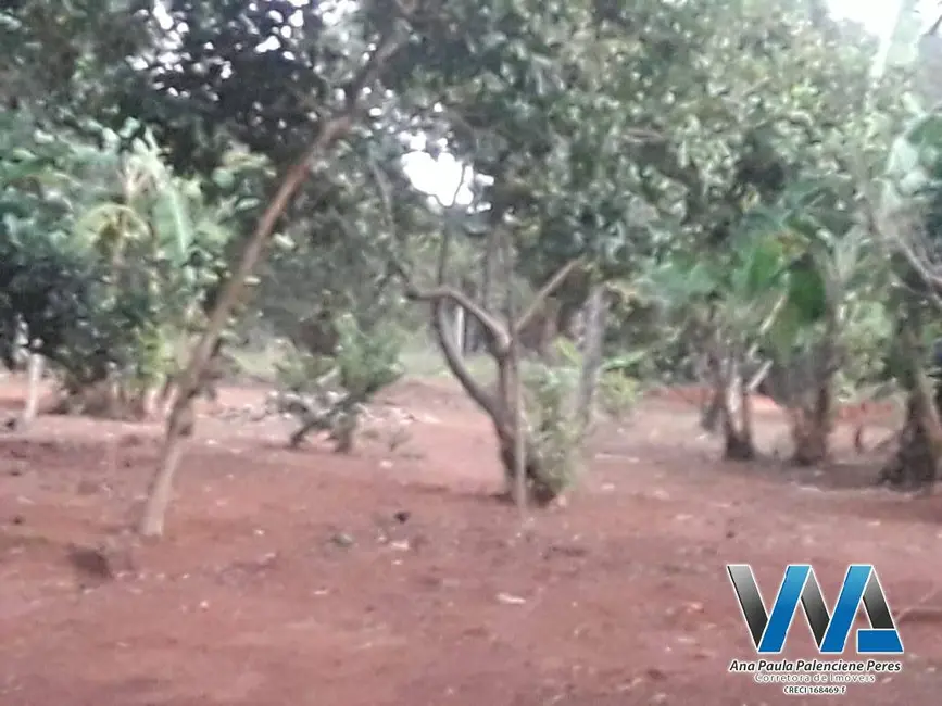 Foto 2 de Chácara com 3 quartos à venda, 350m2 em Braganca Paulista - SP