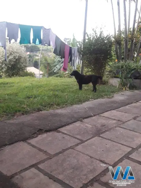 Foto 4 de Chácara com 3 quartos à venda, 350m2 em Braganca Paulista - SP