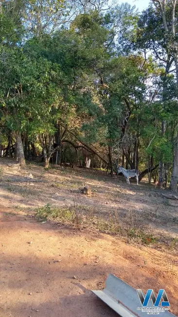 Foto 6 de Casa com 3 quartos à venda, 350m2 em Água Comprida, Braganca Paulista - SP