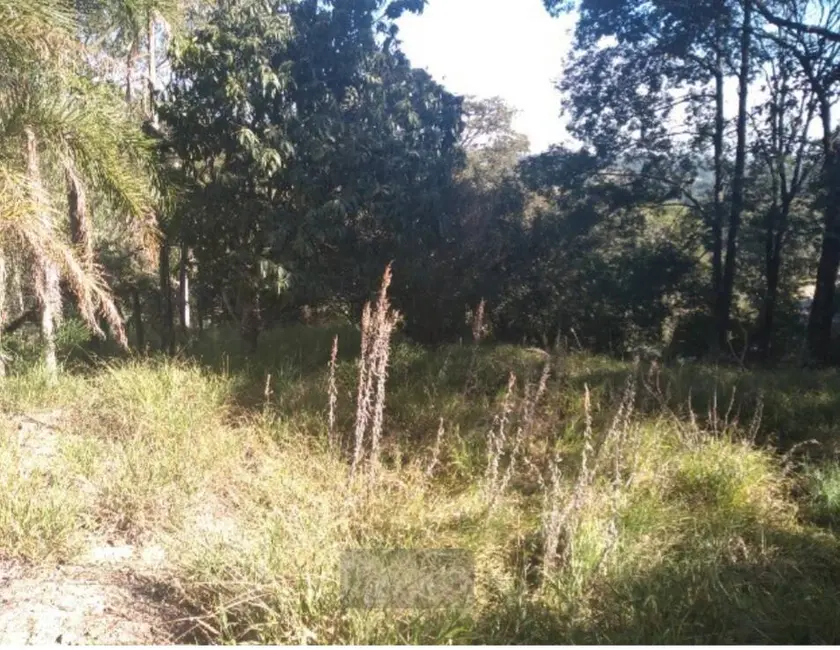 Foto 3 de Terreno / Lote à venda, 5138m2 em Pau Arcado, Campo Limpo Paulista - SP