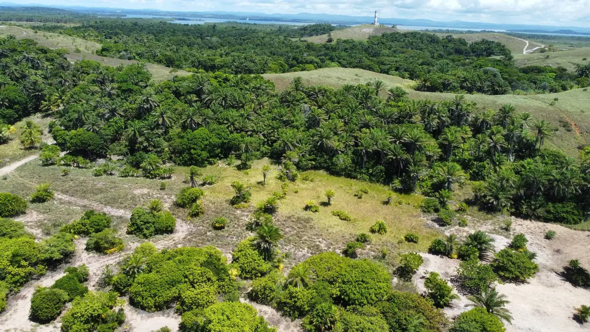 Foto 7 de Terreno / Lote à venda, 178000m2 em Marau - BA