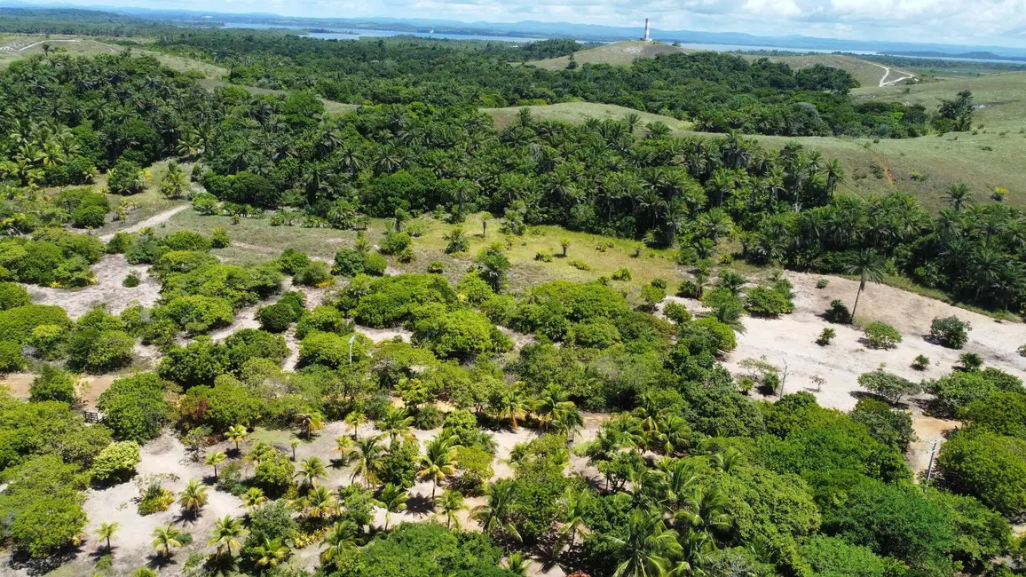 Foto 6 de Terreno / Lote à venda, 178000m2 em Marau - BA