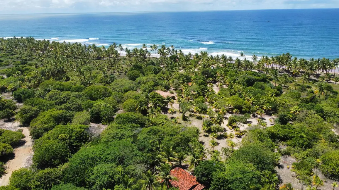 Foto 2 de Terreno / Lote à venda, 178000m2 em Marau - BA
