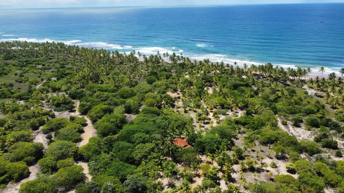 Foto 4 de Terreno / Lote à venda, 178000m2 em Marau - BA