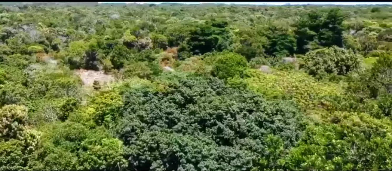 Foto 8 de Terreno / Lote à venda, 20m2 em Marau - BA