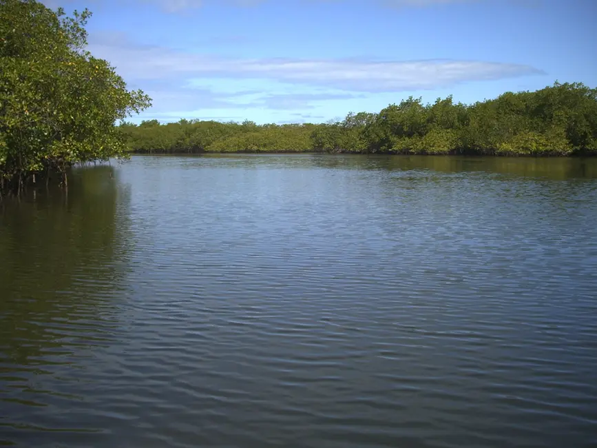 Foto 6 de Terreno / Lote à venda em Marau - BA