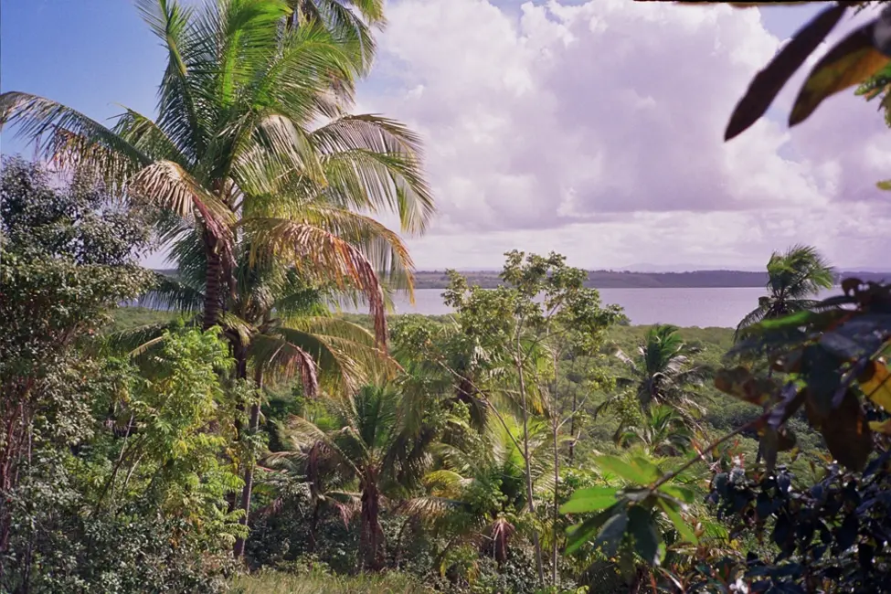 Foto 8 de Terreno / Lote à venda em Marau - BA