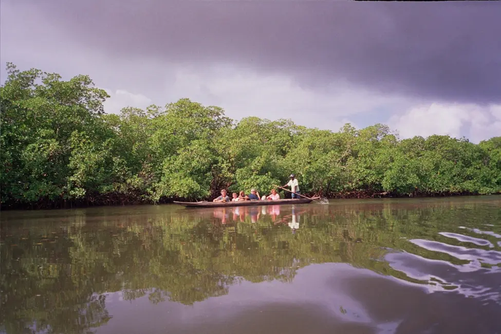 Foto 15 de Terreno / Lote à venda em Marau - BA