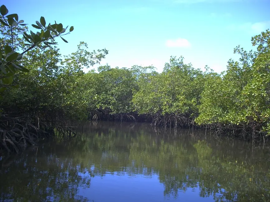 Foto 13 de Terreno / Lote à venda em Marau - BA