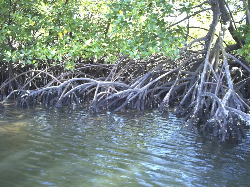 Foto 16 de Terreno / Lote à venda em Marau - BA