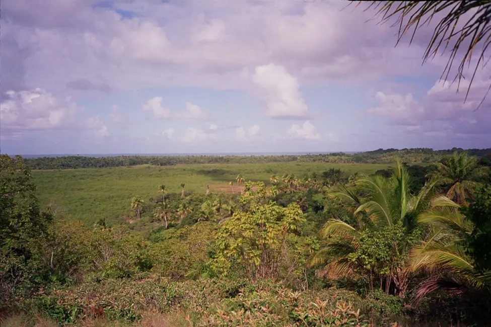 Foto 4 de Terreno / Lote à venda em Marau - BA