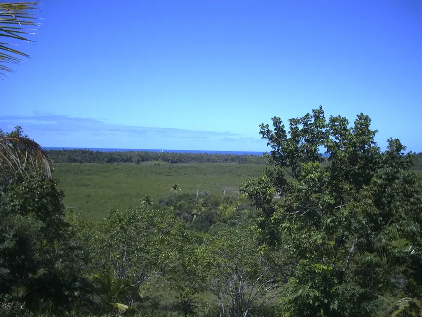 Foto 5 de Terreno / Lote à venda em Marau - BA