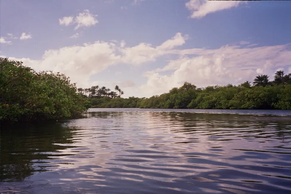 Foto 9 de Terreno / Lote à venda em Marau - BA