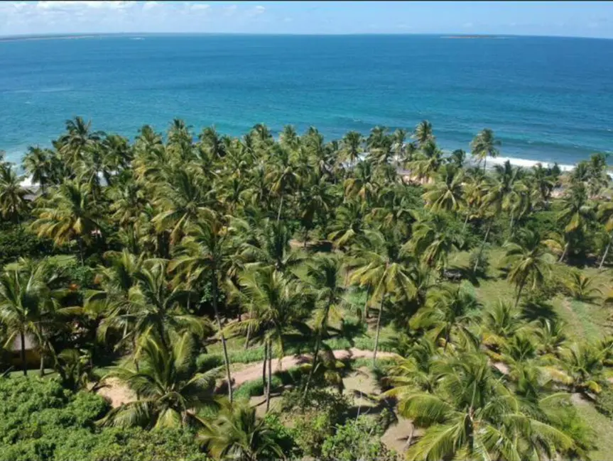 Foto 2 de Terreno / Lote à venda em Marau - BA