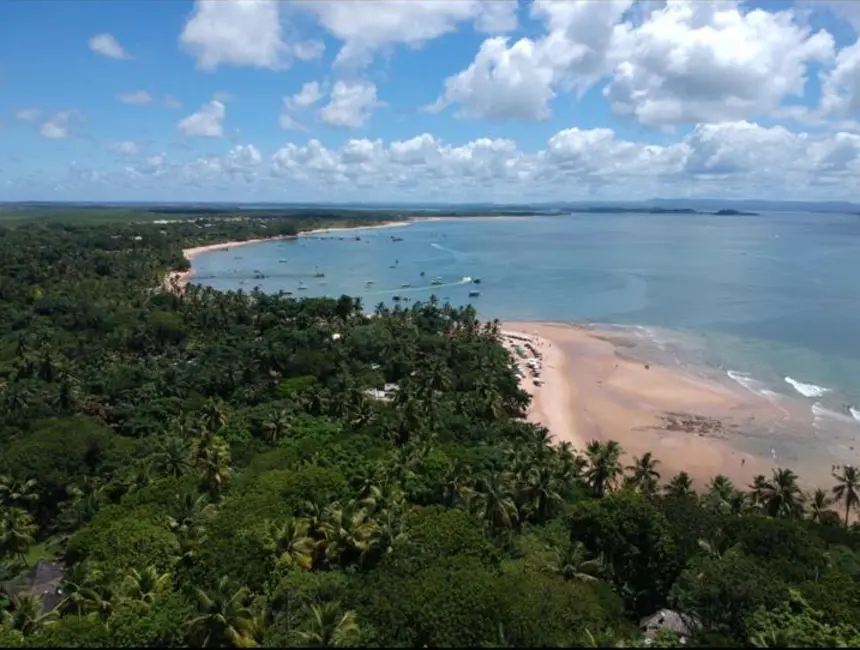 Foto 6 de Terreno / Lote à venda em Marau - BA
