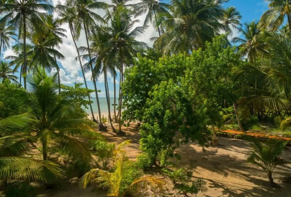 Foto 13 de Casa à venda, 13000m2 em Cairu - BA