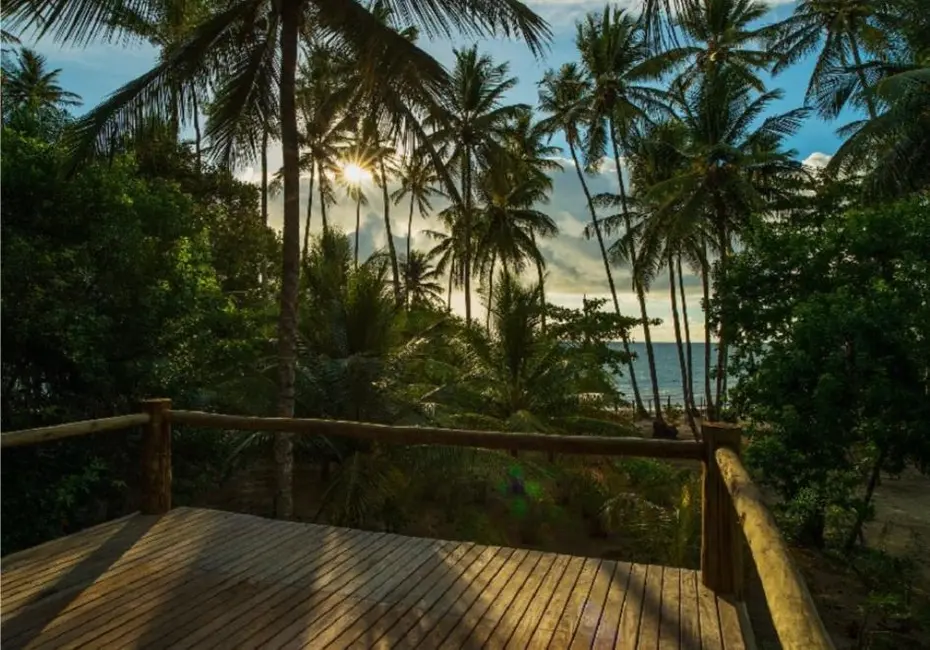 Foto 14 de Casa à venda, 13000m2 em Cairu - BA