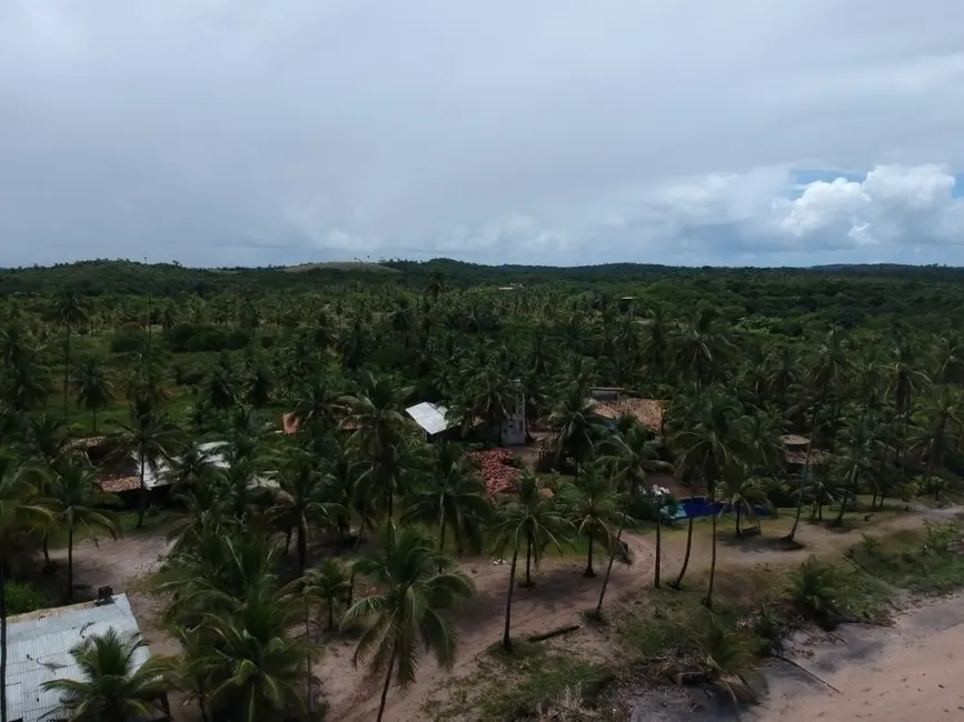 Foto 1 de Terreno / Lote à venda, 50000m2 em Marau - BA