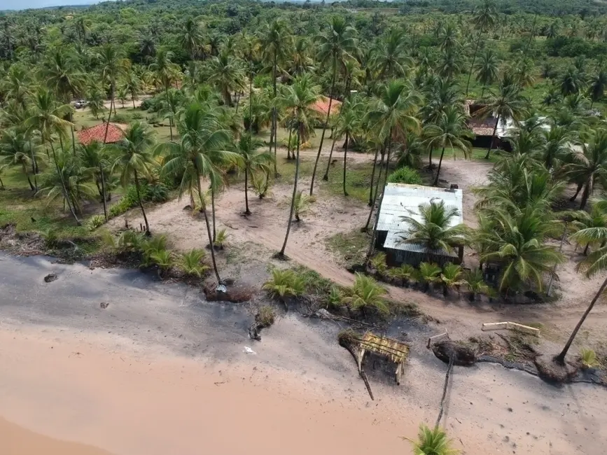 Foto 5 de Terreno / Lote à venda, 50000m2 em Marau - BA