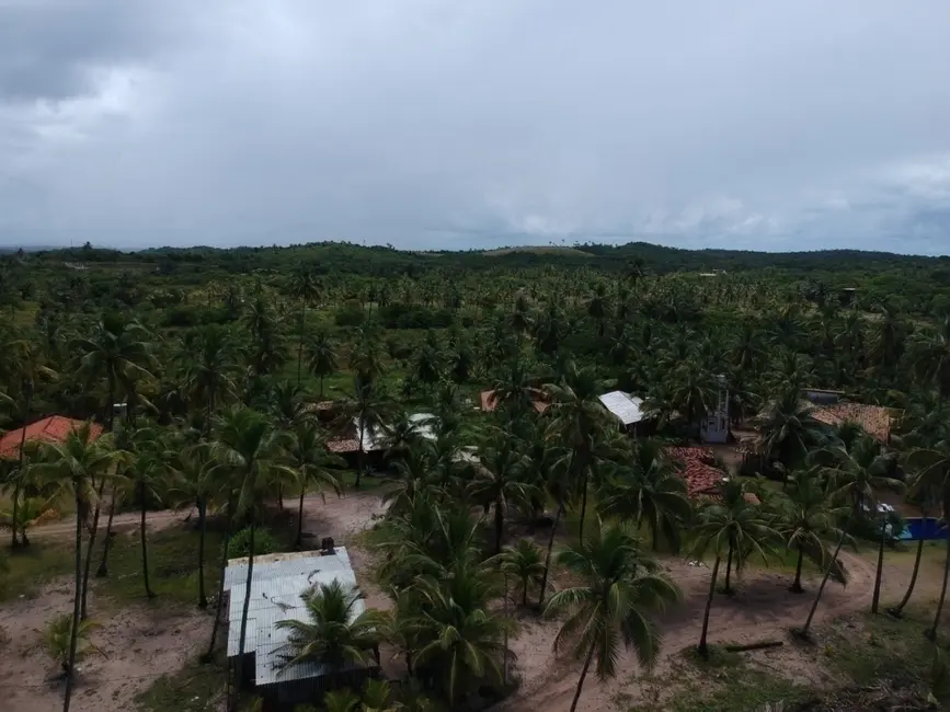 Foto 2 de Terreno / Lote à venda, 50000m2 em Marau - BA