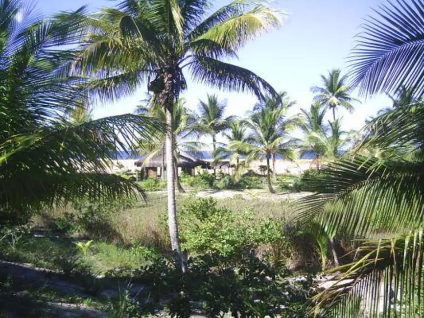 Foto 4 de Terreno / Lote à venda, 6506m2 em Marau - BA