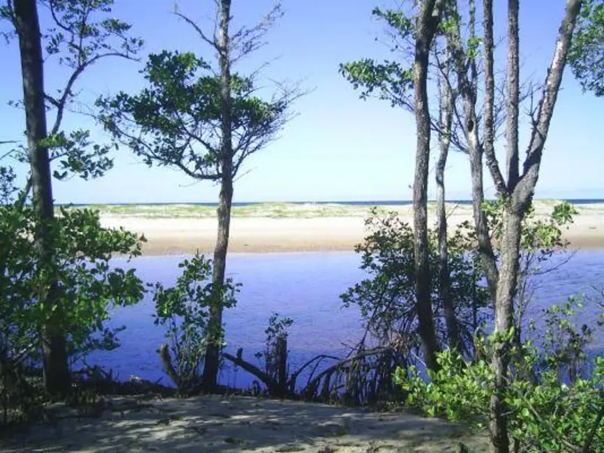 Foto 5 de Terreno / Lote à venda, 6506m2 em Marau - BA