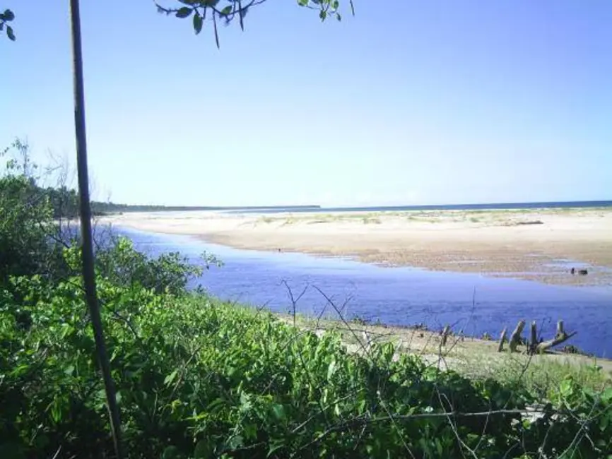 Foto 6 de Terreno / Lote à venda, 6506m2 em Marau - BA