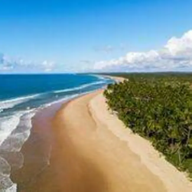 Foto 8 de Casa de Condomínio à venda, 40000m2 em Marau - BA