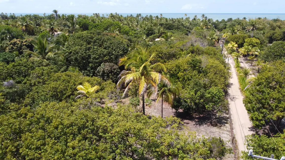 Foto 2 de Terreno / Lote à venda, 2000m2 em Marau - BA