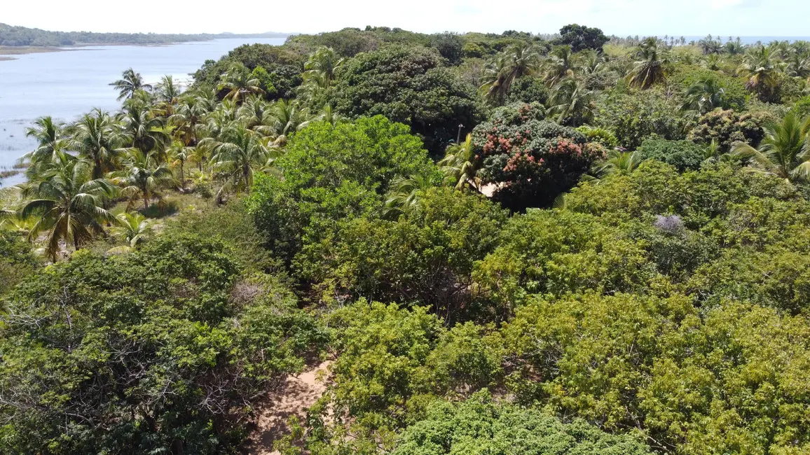 Foto 4 de Terreno / Lote à venda, 2000m2 em Marau - BA