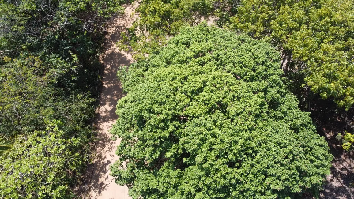 Foto 6 de Terreno / Lote à venda, 2000m2 em Marau - BA