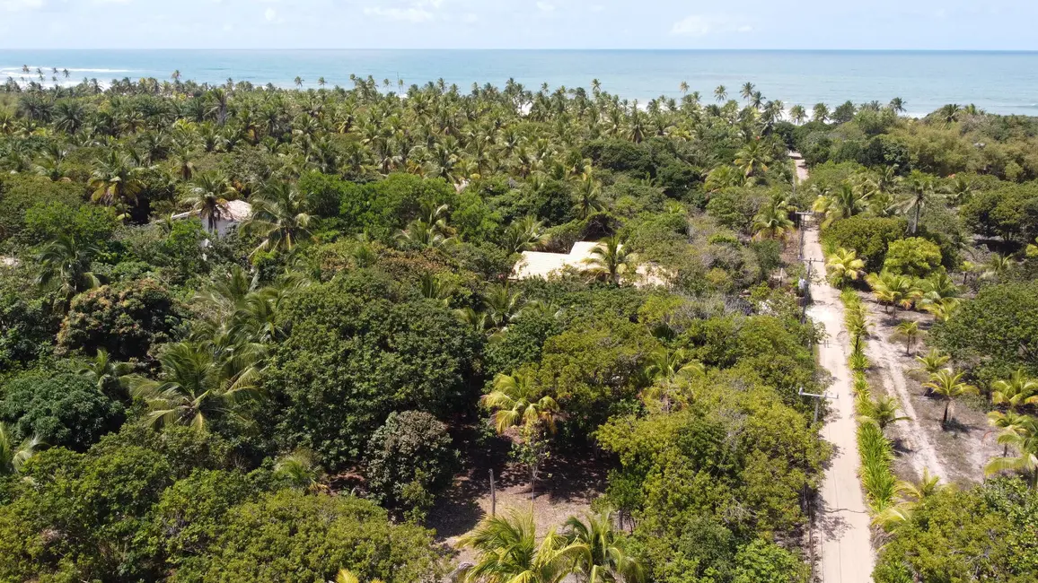 Foto 3 de Terreno / Lote à venda, 2000m2 em Marau - BA