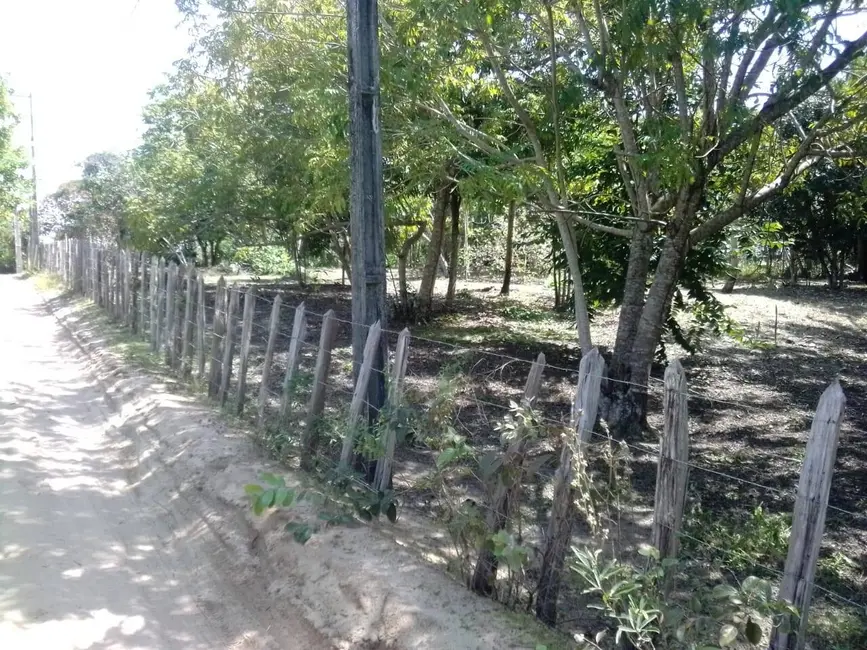 Foto 7 de Terreno / Lote à venda, 2000m2 em Marau - BA